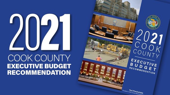 Biuletyn informacyjny listopad 2020 r
