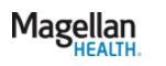 Magellan Logo