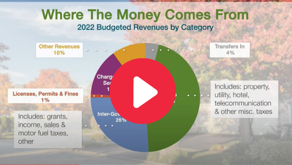 Budget Video Screenshot