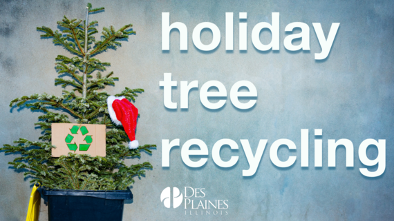 Holiday Tree Recycling Graphic