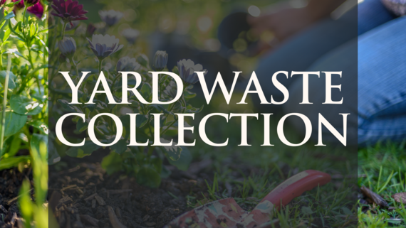 Yard Waste Pick Up graphic
