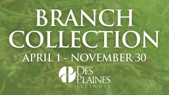 Branch Collection Graphic