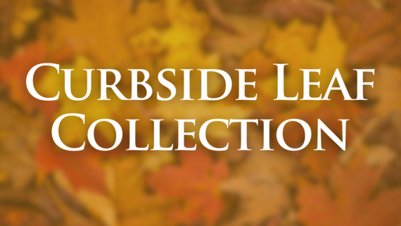 Curbside Leaf Collection graphic