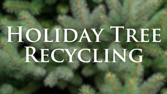 Holiday Tree Recycling