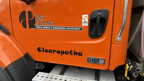 Clearopatha Photo