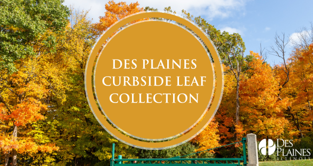 Leaf Collection Graphic