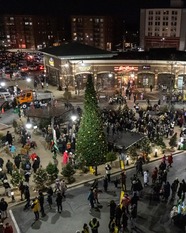 Holiday Tree Lighting Image