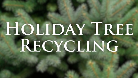 Holiday Tree Recycling Graphic