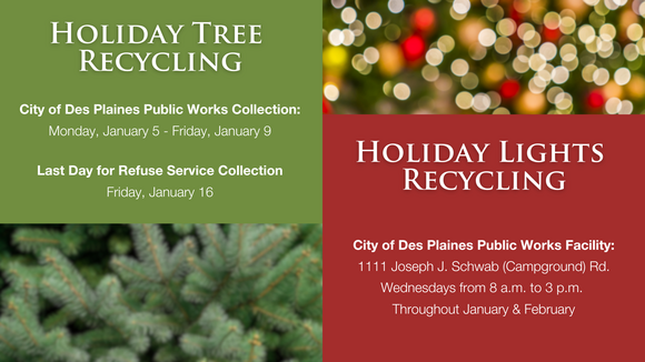 Holiday Light and Tree Recycling Graphic