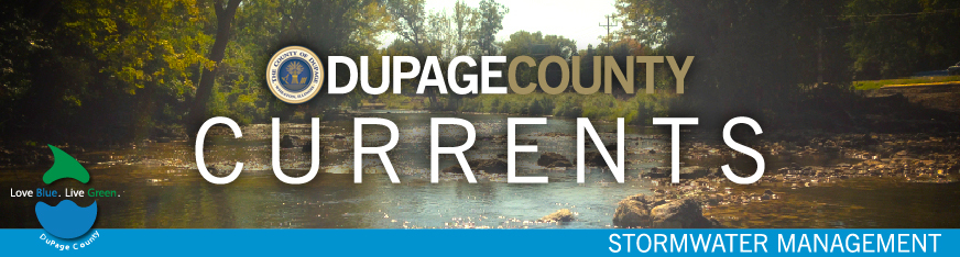 DuPage County Currents