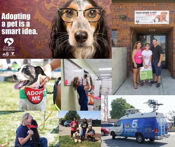 AC-Clear The Shelters Collage