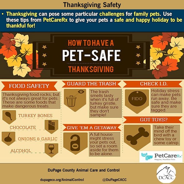AC- Thanksgiving Safety