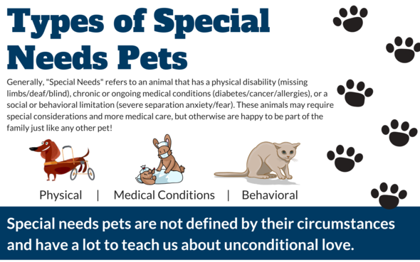 Types of Special Needs Pets