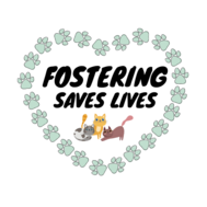 Fostering Save Lives