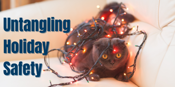 Untangling Holiday Safety Banner