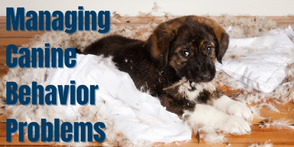 Managing Canine Behavior Problems
