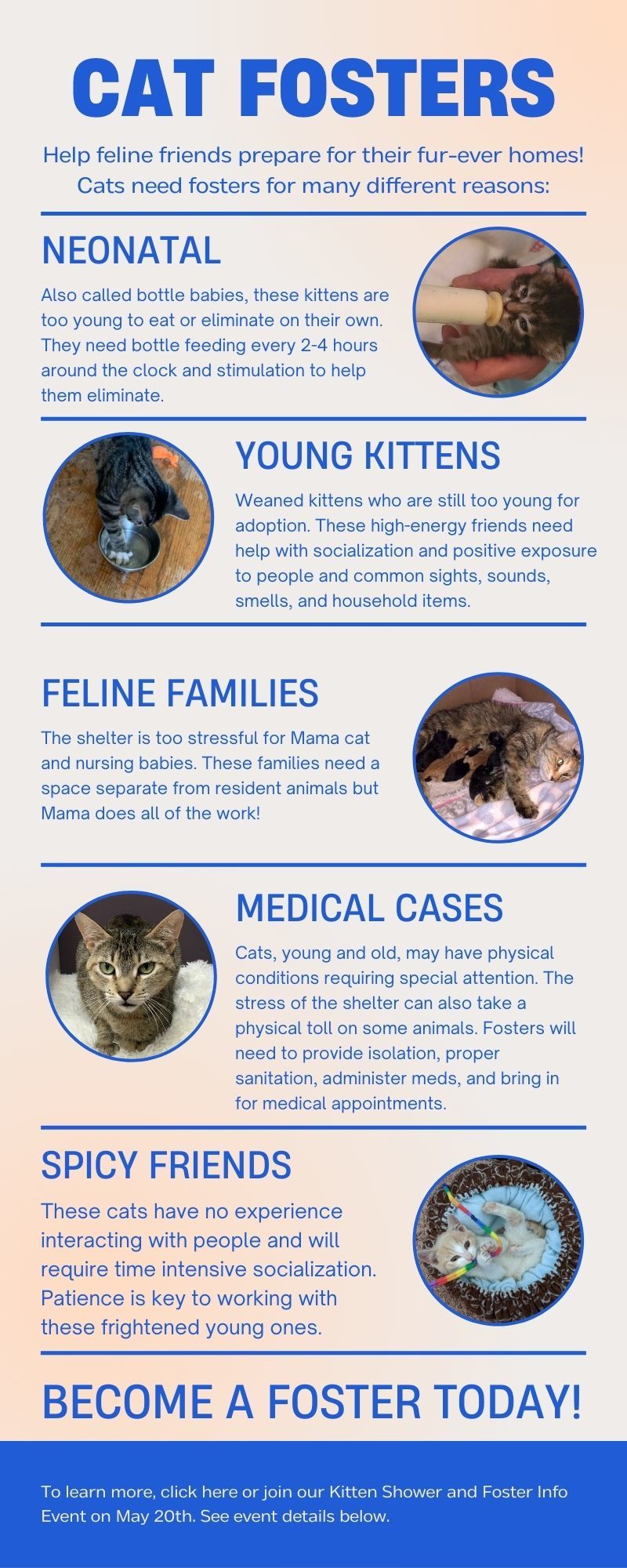 Types of Cat Fosters Infographic