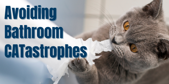 Avoiding Bathroom Catastrophes Newsletter Banner