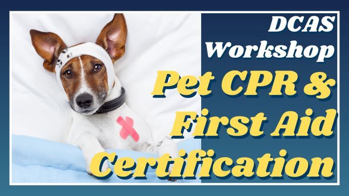 Pet First Aid & CPR Certification Workshop