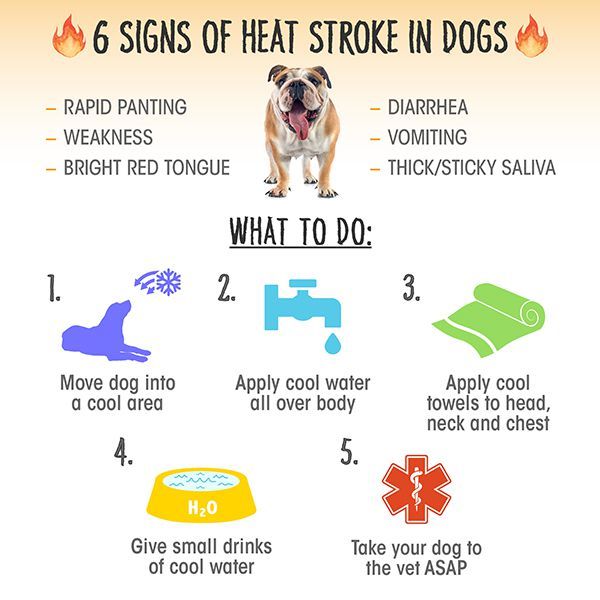 Signs of Heat Stroke