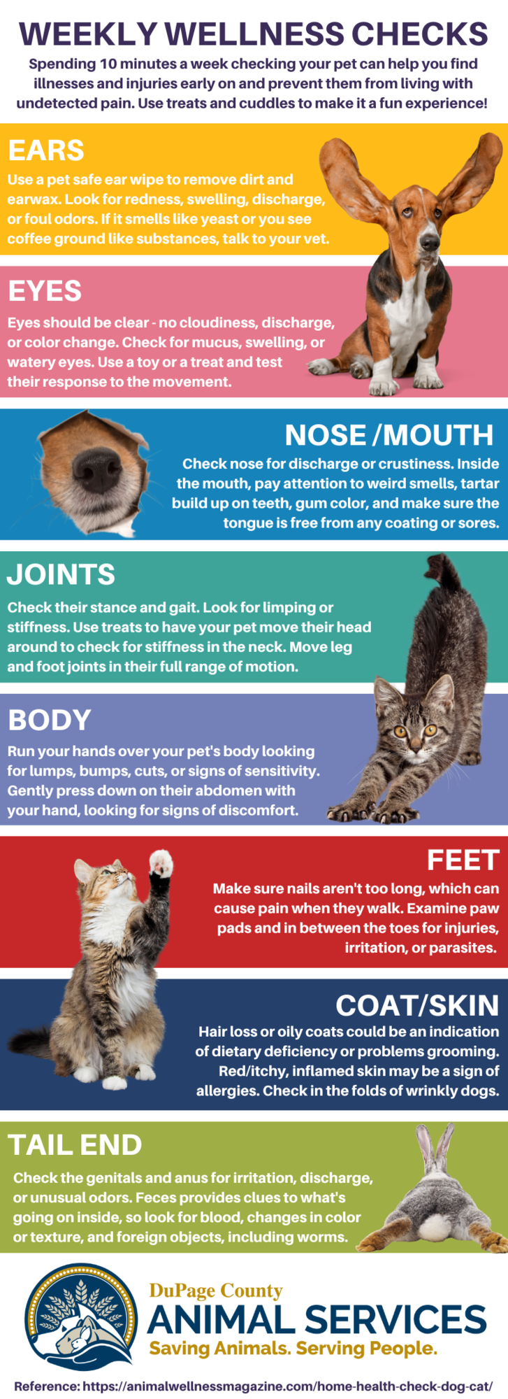 Wellness Checks for Pets