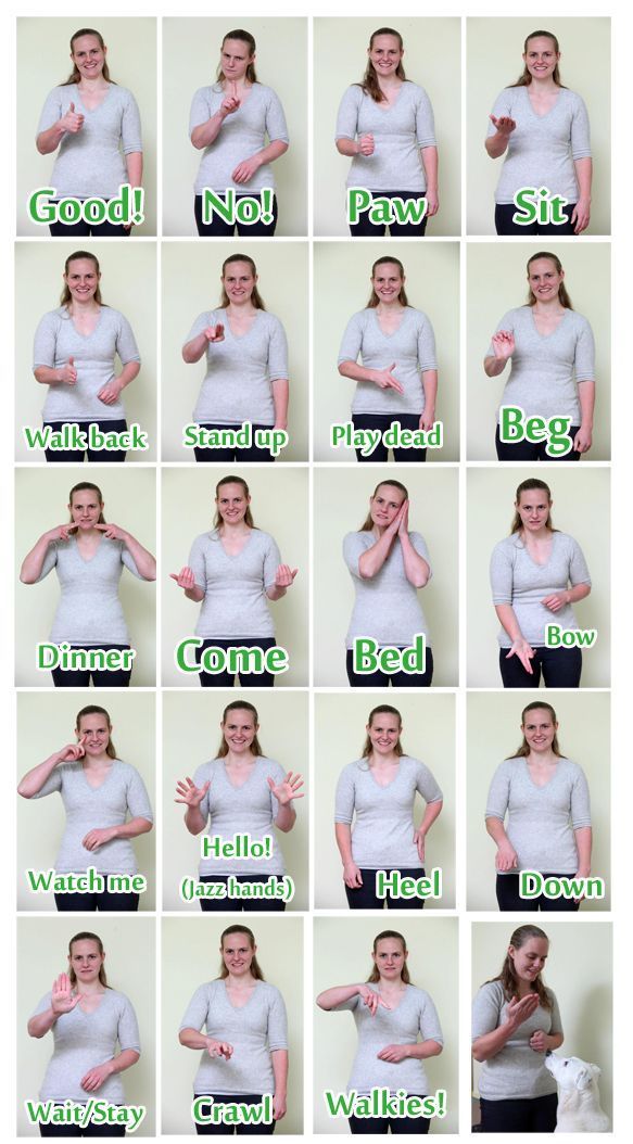 Images of woman using sign language for common dog commands