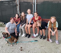 Girl Scout Troop 55671 meeting with adoptable dog Jorga