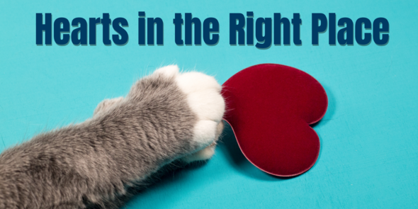 Hearts in the Right Place Banner with image of cat paws holding fabric heart