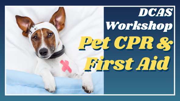 DCAS Workshop Pet CPR and First Aid