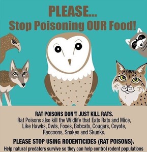 Don't Poison Our Food: poster against rodenticide 