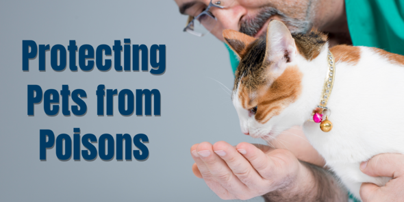 Protecting Pets from Poisons banner