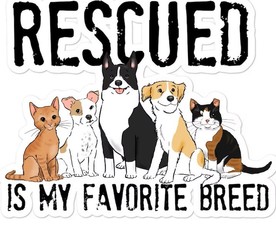 Rescued is my favorite breed 