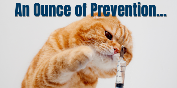 An Ounce of Prevention 