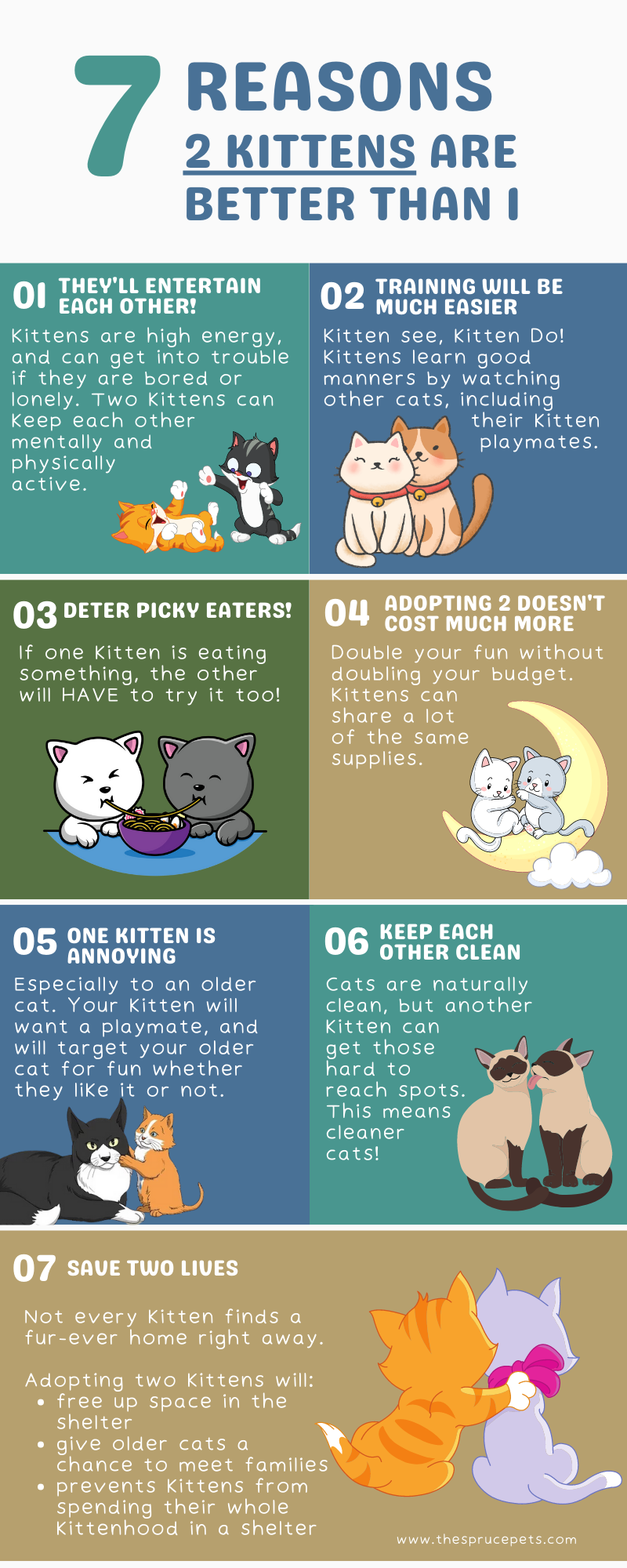 7 reasons 2 kittens are better than one