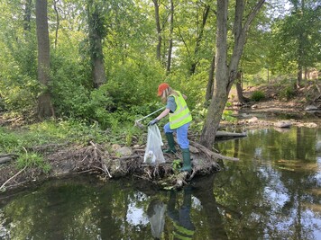 river sweep