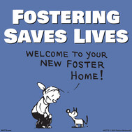 Fostering Saves Lives graphic