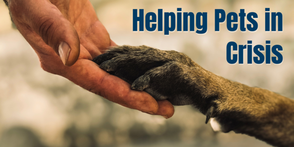 Helping Pets in Crisis - person's hand holding paw
