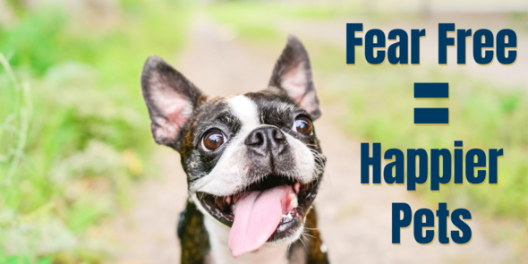 Fear Free = Happier Pets