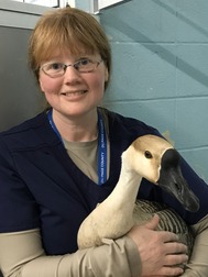 Colleen with African Goose