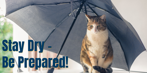 Stay Dry - Be Prepared! Cat with umbrella