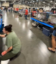 Image from Super Adoption Saturday