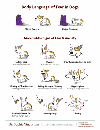 Fear Signals in Dogs