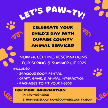 Birthday Party Promotion