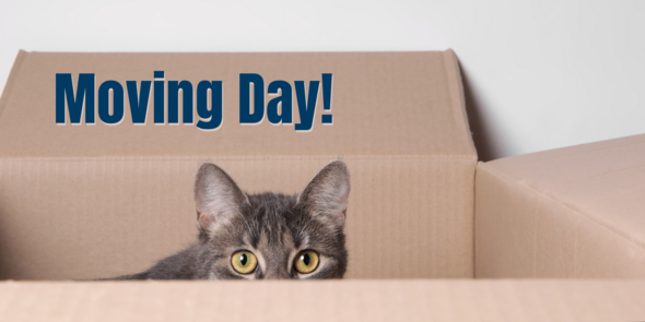 Moving Day Title, cat in box