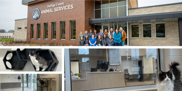 Collage of new shelter addition images