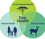 One Health Venn Diagram: Animal Health, Human Health, Environment Health