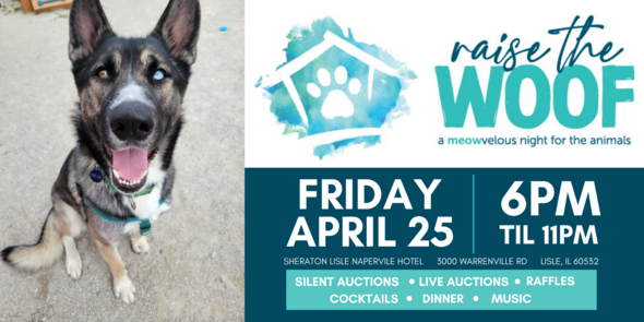 Raise the Woof Cover Image