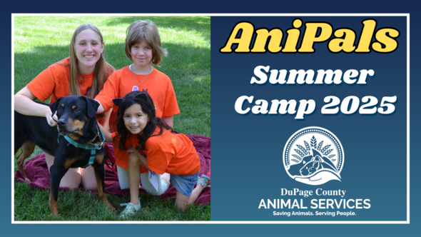 DCAS Summer Camp 2025