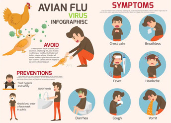Avian Flu Symptoms in Humans