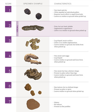 Fecal Scoring Chart